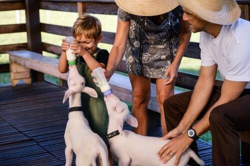 Passeio Caminhos de Pedra