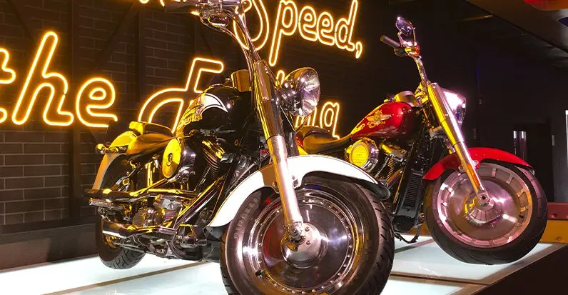 Dreams Park Show: Passaporte 5 atrações