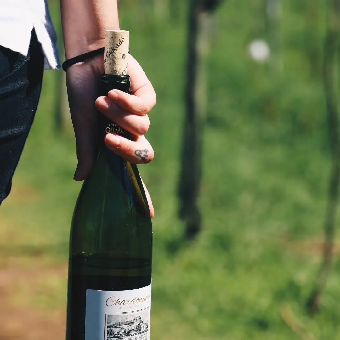 Tour do Vinho com Jolimont, Queijos e Degustações!