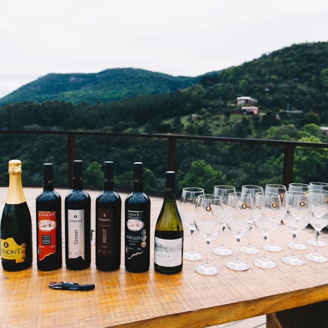 Tour do Vinho com Jolimont, Queijos e Degustações!