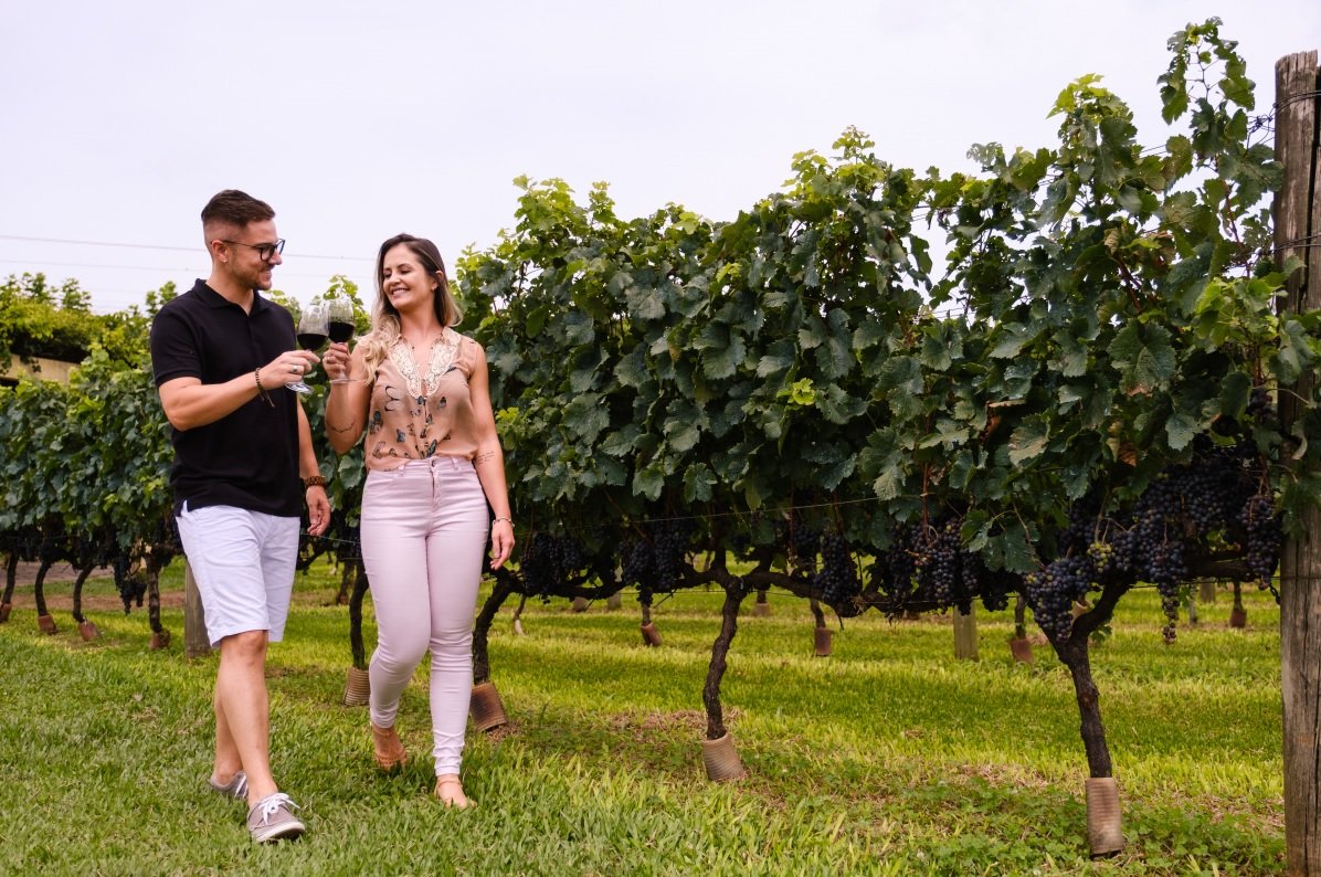 Tour Vinhos e Sabores com Maria Fumaça!!!