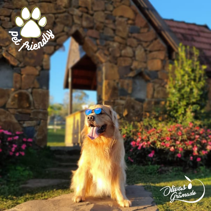 Um paraíso entre pôr do sol e oliveiras