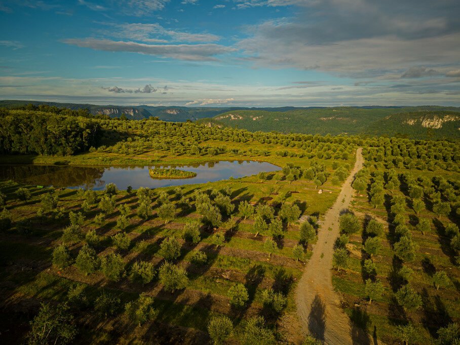 Um paraíso entre pôr do sol e oliveiras