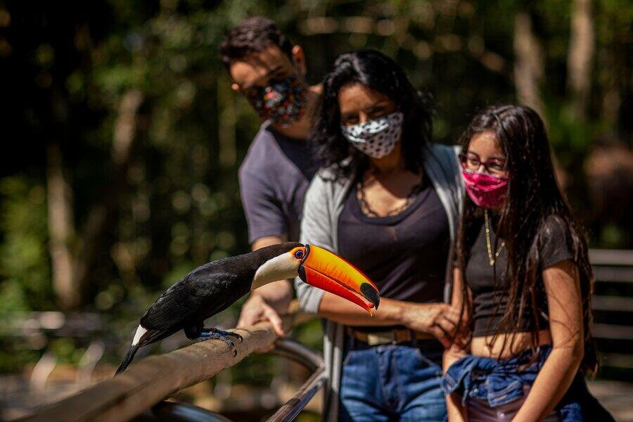 O maior parque de aves da América latina! O único do mundo focado em salvar espécies da mata atlântica.