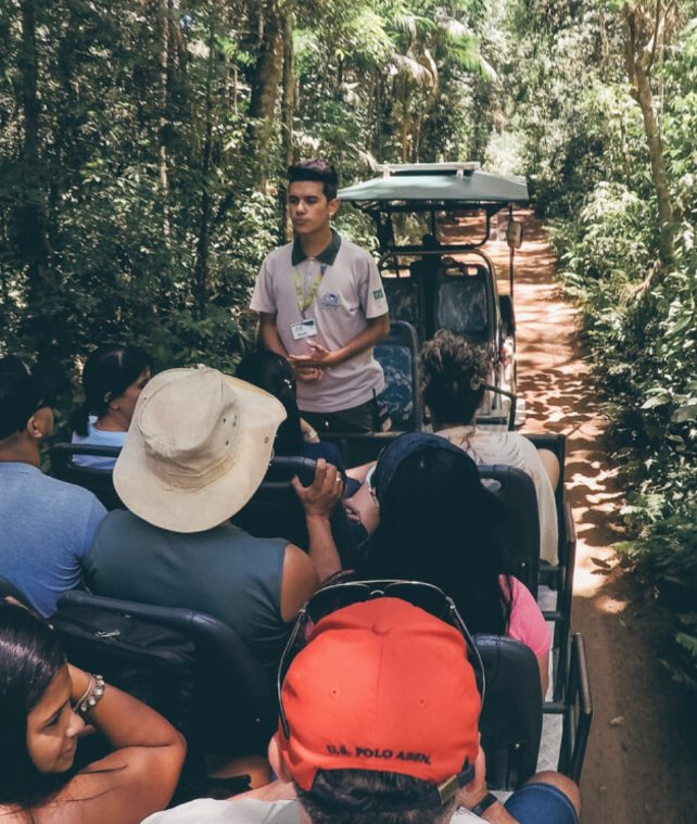 Macuco Safari: Aventura na Selva e no Barco em Foz do Iguaçu – Viva a Experiência Incrível!
