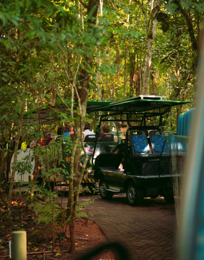 Macuco Safari: Aventura na Selva e no Barco em Foz do Iguaçu – Viva a Experiência Incrível!