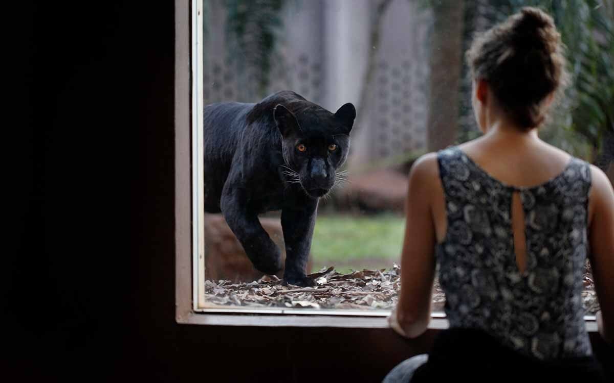 Ingresso para o refúgio biológico da Itaipu binacional.