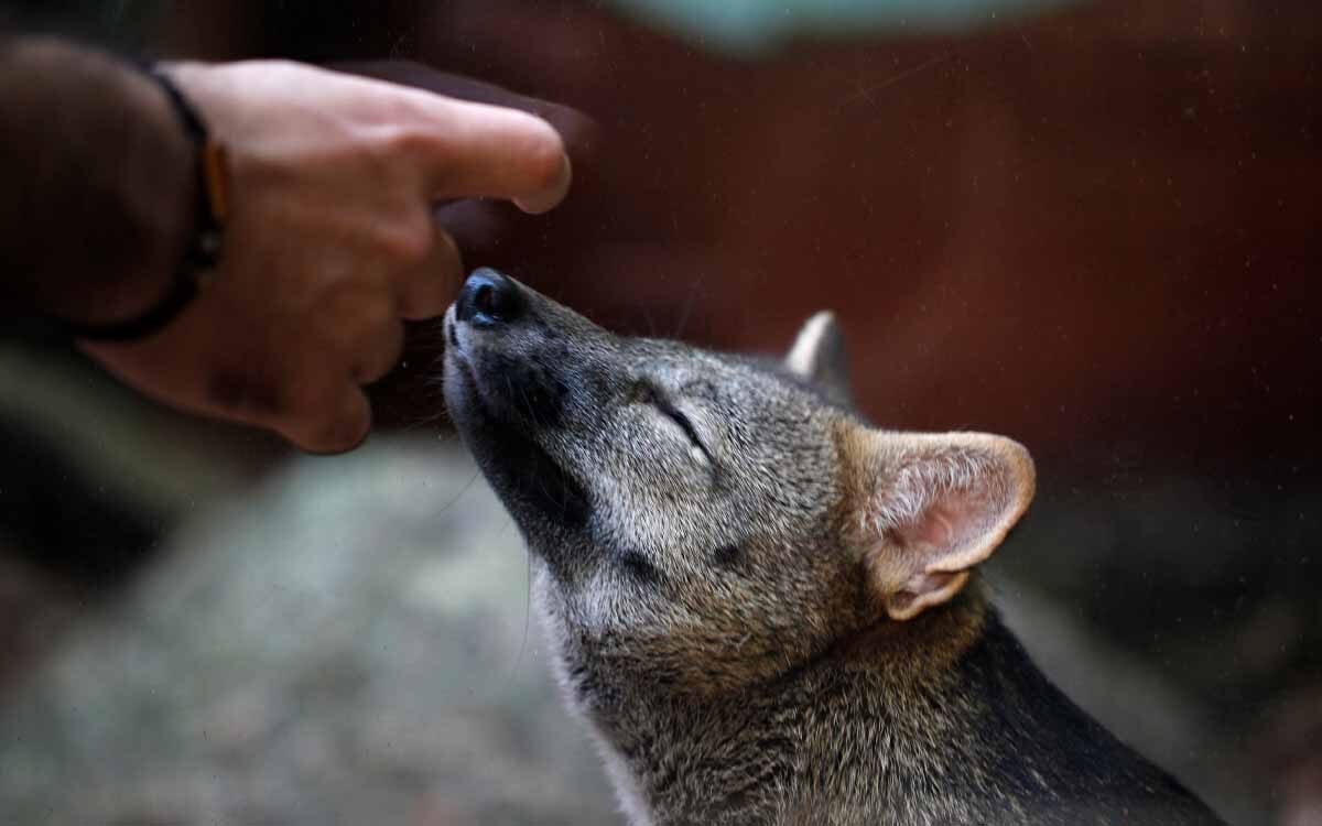 Ingresso para o refúgio biológico da Itaipu binacional.