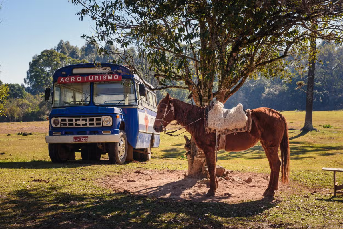 Tour da cultura europeia e gaúcha na Linha Ávila!