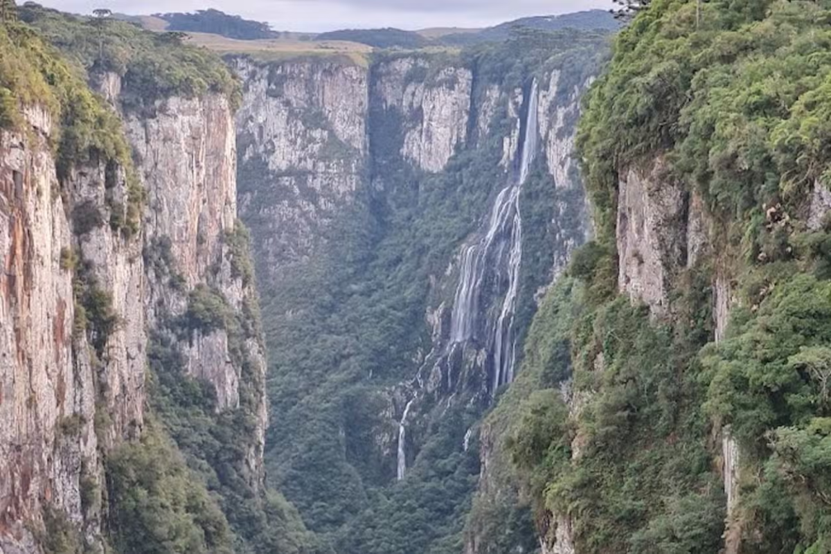 Itaimbezinho + Piquenique: O Gigante Verde do Sul com Sabor e Aventura!