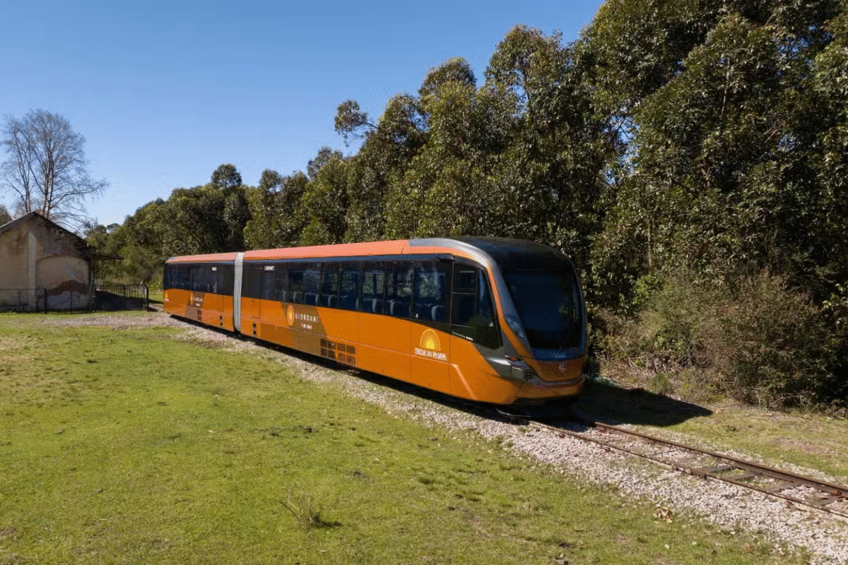 Sabores & Trilhos: Um Brinde ao Pampa no Trem do Vinho!