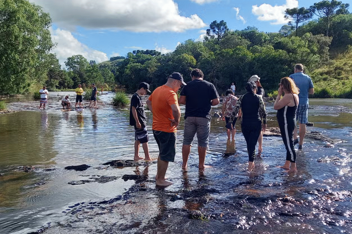 Campos de Criúva: Trilha, Lendas e Jantar ao Luar!