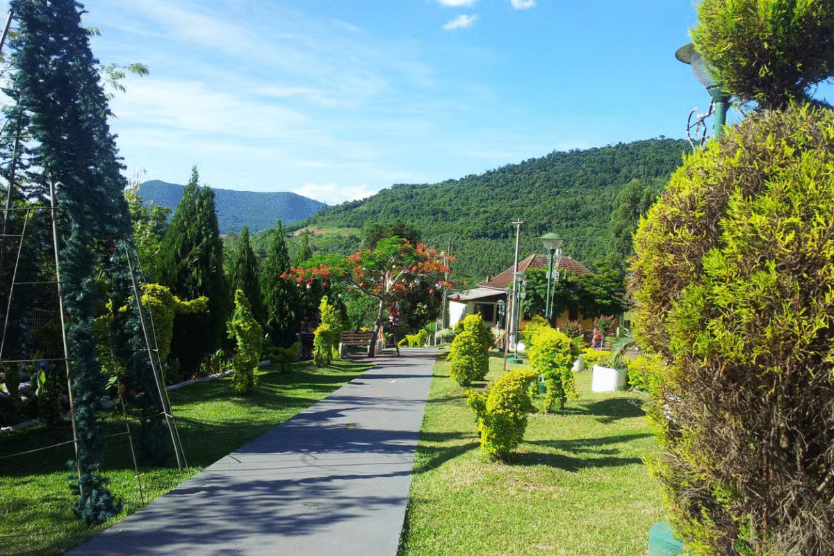 Cactos, Avestruzes e Convento: Um Roteiro Inusitado nos Arredores de Caxias!