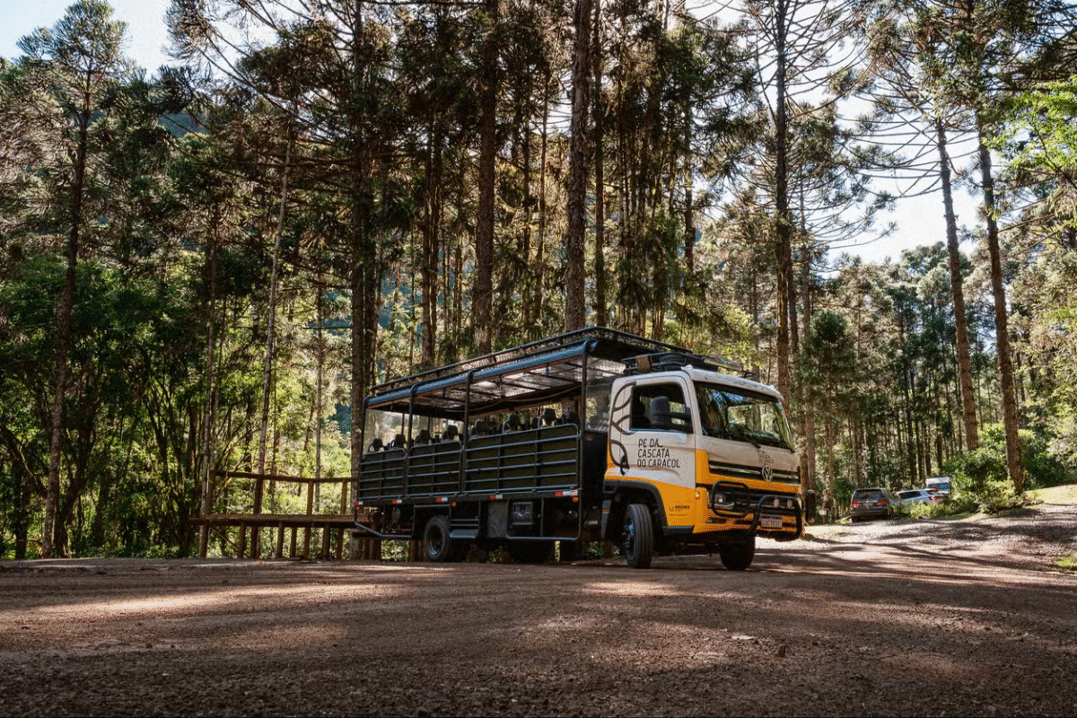 Pé da Cascata Explorer: Natureza, cultura e emoção em um só passeio!