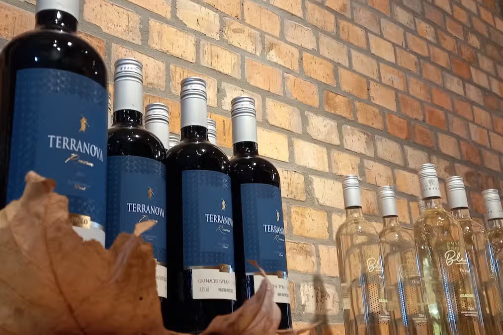 Tour dos Vinhos: Um Dia no Encanto do Vale dos Vinhedos!