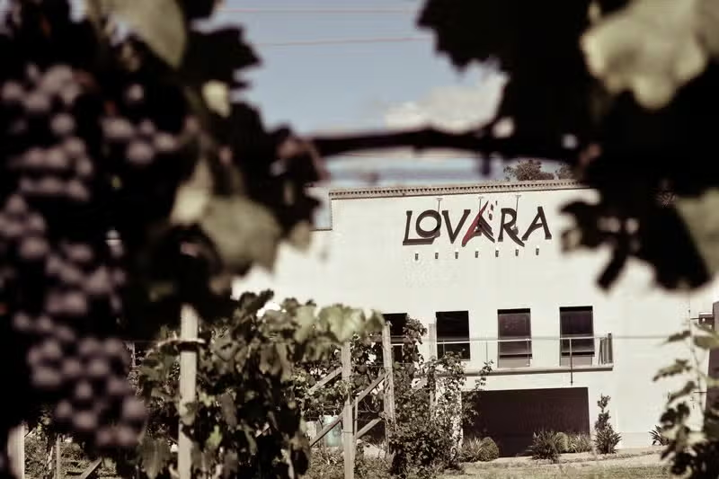 Tour Gran Reserva: Vale dos Vinhedos - Vinhos, Histórias & Degustações Inesquecíveis!