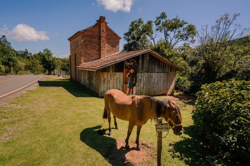 Um passeio entre vinhos, histórias e comida típica!