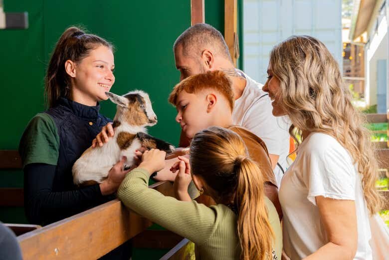 Ingresso para o Parque Spitz Pomer: Diversão e Aventura em Pomerode!