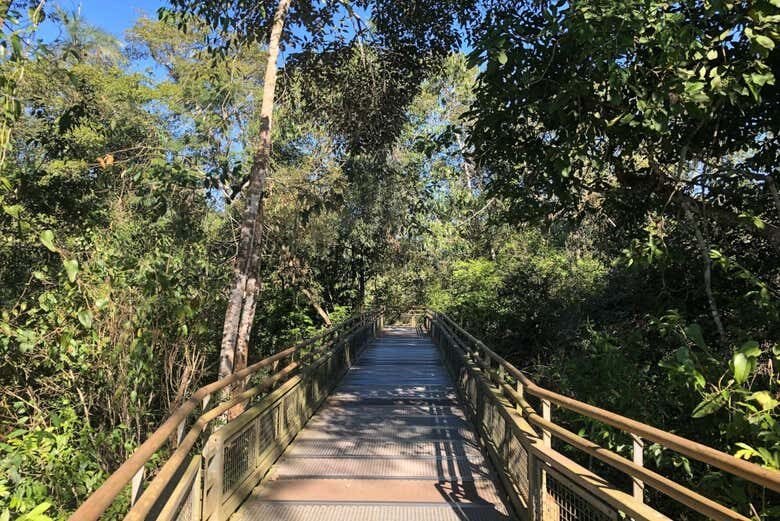 Cataratas do Iguaçu — Lado Argentino: Um espetáculo da natureza saindo de Foz do Iguaçu!