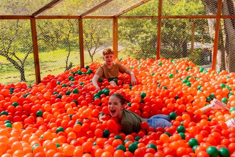 Ingresso para o Parque Spitz Pomer: Diversão e Aventura em Pomerode!