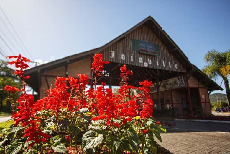 Tour Histórico por Joinville!