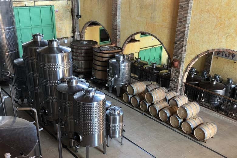 Tour Completo por São Joaquim: História, Cultura e Vinhos!