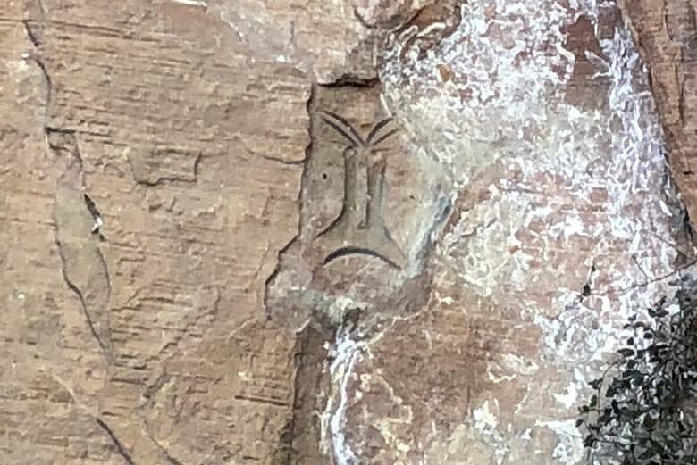 Tour Completo por Urubici: Natureza, História e Emoção!