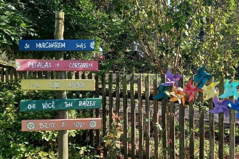 Experiência Única em uma Vindima em Flores da Cunha!