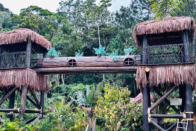 Uma Viagem Ao Mundo Dos Dinossauros: Aventura Jurássica Em Balneário Camboriú!