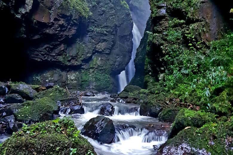 Trilha do Gavião: Aventura e Cachoeira em Três Coroas!